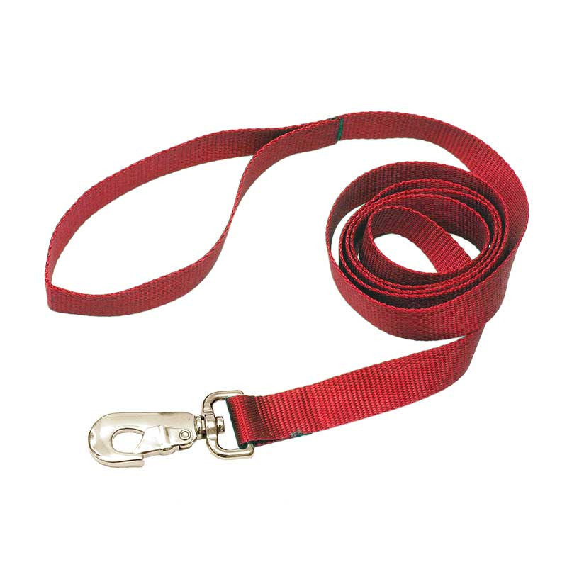 3/8" Nylon Leash, - Lucky Pet